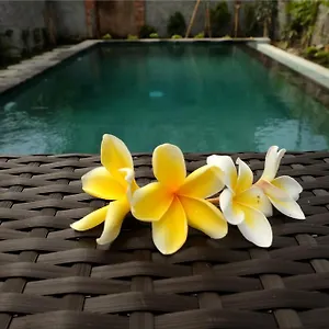 Eka Bali Maison d'hôtes Ubud